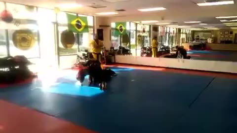 Hapkido