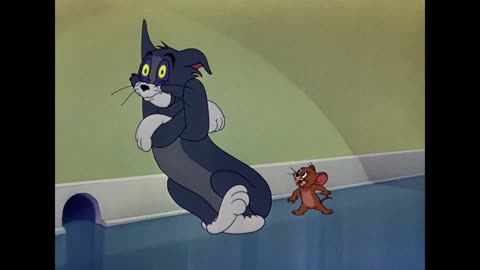 Tom and Jerry Cartoon