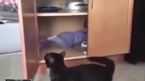 smart evil cat hides child in closet