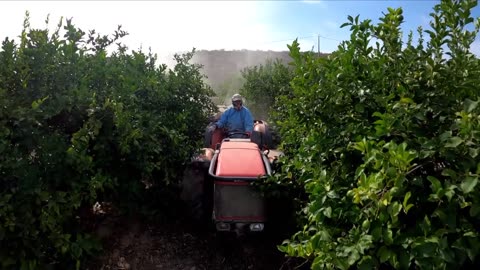 L'héritage des pesticides