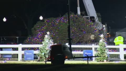 White House Christmas tree toppled to the ground. Typical of imposter Biden's administration.