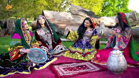 Alia Ansari Melma Pashto New Song 2022 Official Video