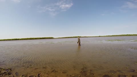 Fly Fishing for Wolf Fish (Traíra/Tarucha) - Rosario, Argentina