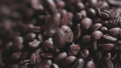 Coffee beans falling on a layer of more beans