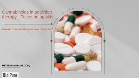 Cannabinoids in addiction therapy - Focus on opioids