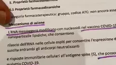 17 Dicembre 2020 tutto sul vaccino PFIZER