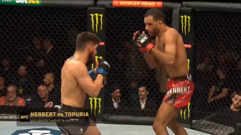 Top ufc best knockouts