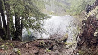 Exploring the Area ABOVE Sahalie Falls – Sahalie Falls & Koosah Falls Loop – Central Oregon – 4K