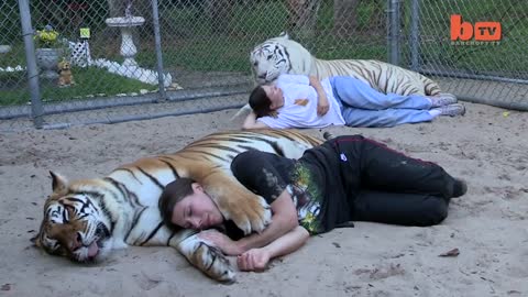 You Will Be Amazed At What Pets this American Family have #bengaltiger