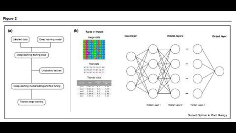 Odds and Ends S2 Ep 2 The Pangenome Discovery and Application