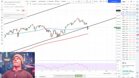 Daily Crypto Market Update - Bulls or Bears?