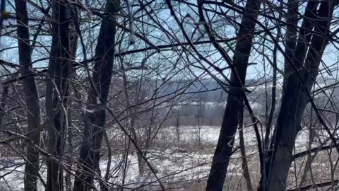 The first day of fighting for the crossing over the Seversky Donets