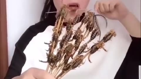 Chinese women Eating bugs (1)