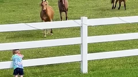 All hail king of the horses! 🐴