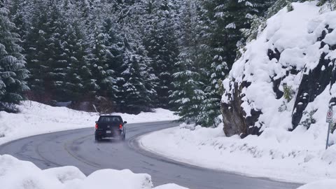 Curve on a snowy forest road