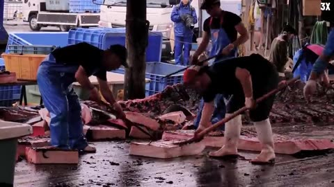 Japanese Traditional Food Whale Meat - Whale Meat Cutting Skill in Japan