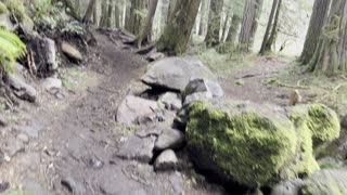 Hiking Through Classic Old Growth Forest – Tamolitch Blue Pool – Central Oregon – 4K