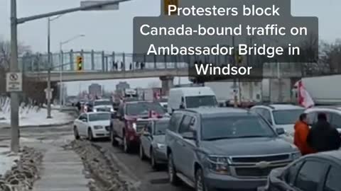 Freedom Convoy Blocks Ambassador Bridge Windsor/Detroit