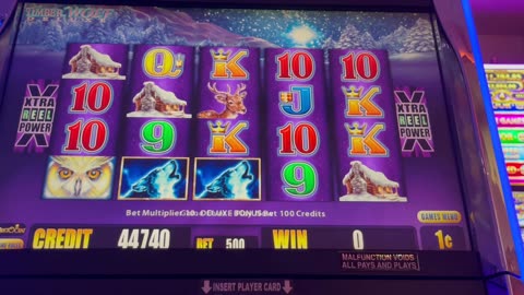 MASSIVE WINS ON TWD #win #slotman #slot #chumashcasino