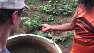 Kitchen Garden at Freedom Farm Academy - Thailand