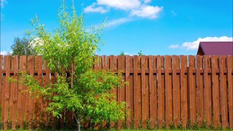 Gonzalez Fencing - (737) 252-5461