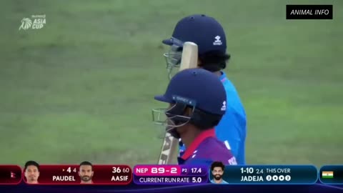 "India vs Nepal Showdown: ICC Asia Cup 2023"