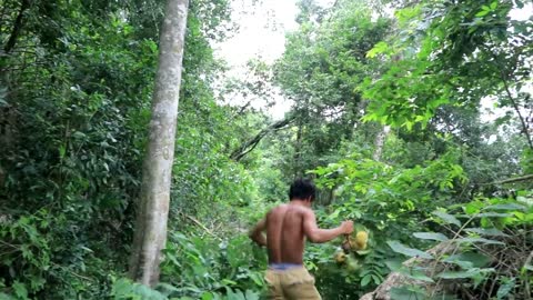 Adventure in forest - Find Fruit In The Jungle - Eating santol delicious