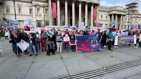 Protesters call for sanctions on Faroe Islands over barbaric dolphin hunting