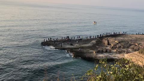 Fishing sport in oman salala