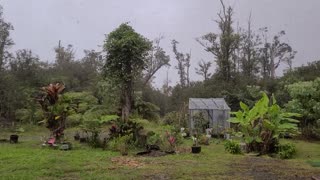 Rainy Day On The Homestead