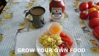 BREAKFAST GROW YOUR OWN