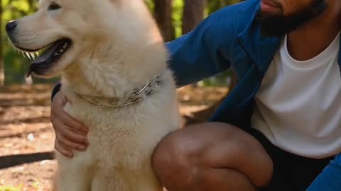 My brother is playing with dog.