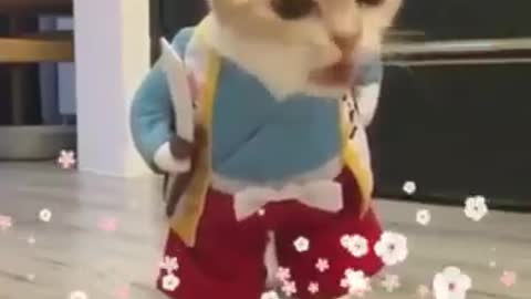 Cutest cat taking breakfast before going to School.