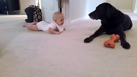 Baby's first crawl with her dog... what a cute ending