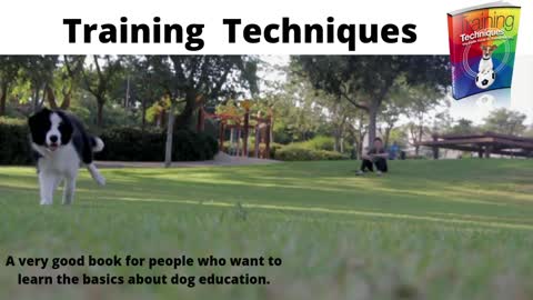 Dog's Training Techniques