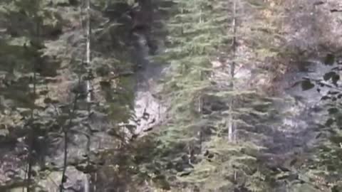 Todd Standing's footage of what he claims is an actual Bigfoot!