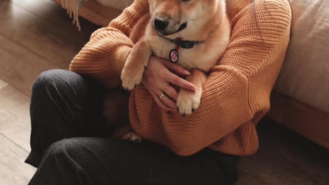 Woman Holding Dog On Arms