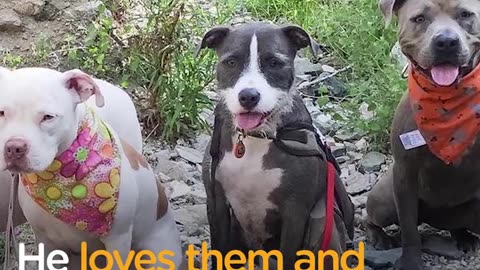 Pit Bull Loves To Hug His Family | The Dodo