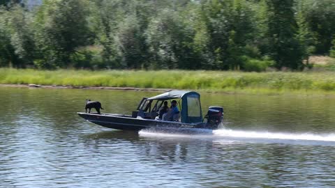 A Dog Was Enjoying on a Boat Passing "LOVE ALASKA" Sign along with the Chena River in Fairbanks, Alaska