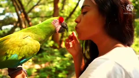 Watch how these ladies are feeding the cute parrot.