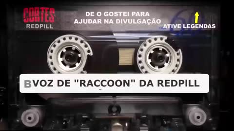 RESPOSTA ÉPICA PARA MUIHERER QUE RI DE SOLTEIROS - VOZ DO RACCOON DA REDPILL E MGT0W