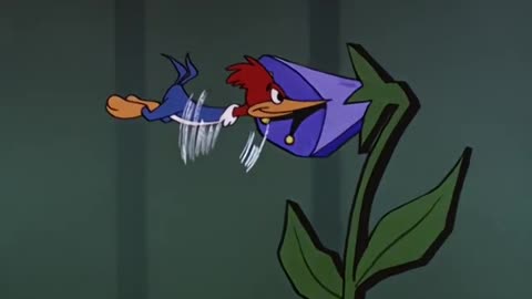 WOODY WOODPECKER - 120 - Tragic Magic