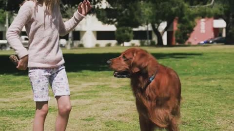 Little girl Playing with her Dog adorable at the park