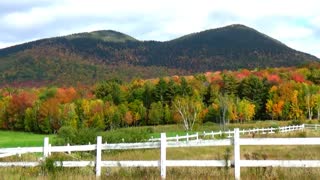 Mountain Foliage