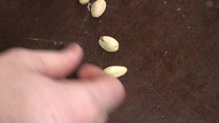 Pistachio Life Hack