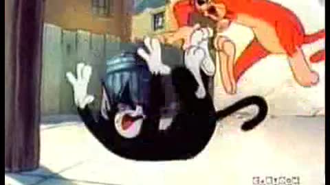 Tom and Jerry show