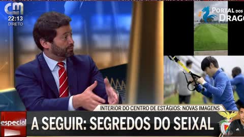 «Nova interrupção da Liga? Vence aquele que na altura estiver em primeiro.»