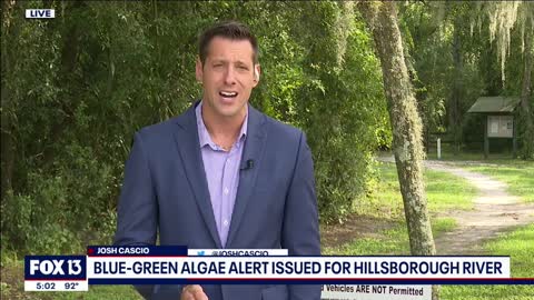 Algae bloom in Florida river may cause illness