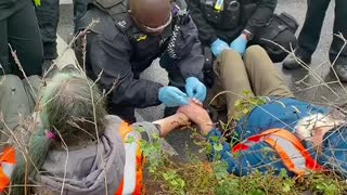 Environmentalist activists super glued their hands together