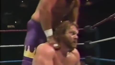 WWF at Nassau Coliseum 6 10 1989 BRUTUS THE BARBER BEEFCAKE VS GREG VALENTINE POWERS OF PAIN VS HART FOUNDATION POFFO VS JIM POWERS SUPERFLY VS BORIS KING JIM DUGGAN VS HAKU HILLBILLY JIM VS THE GIANT ROCKERS